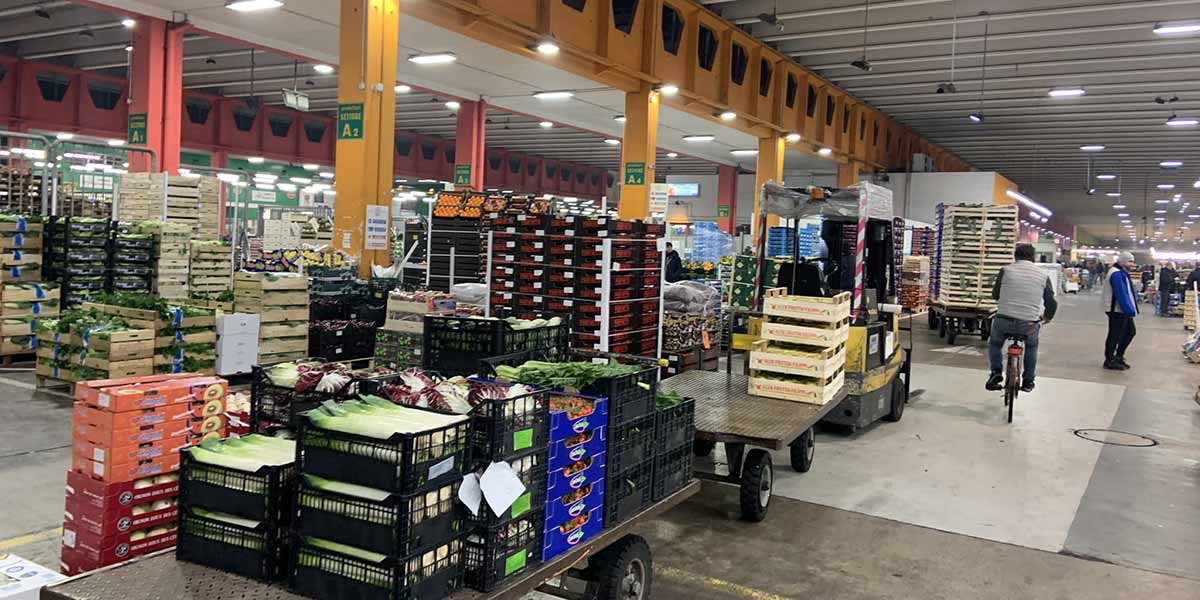 Pomodori, mercato tiepido ma i prezzi tengono